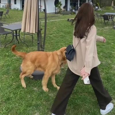 庄园梦中人